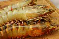 大新鲜的老虎虾王虾虾