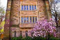耶鲁大学大学维多利亚时代建筑木兰窗户