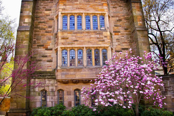 耶鲁<strong>大学大学</strong>维多利亚时代建筑木兰窗户