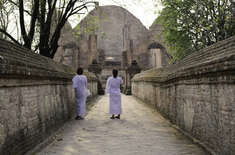 修女什么麻将寺庙大城府泰国