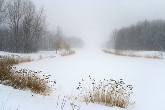 湖有雾的阴霾冬天暴雪