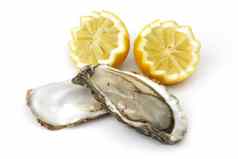 牡蛎柠檬白色