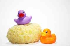 彩色的橡胶鸭子黄色的浴海绵婴儿