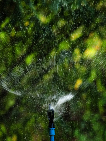 草坪上喷水灭火系统