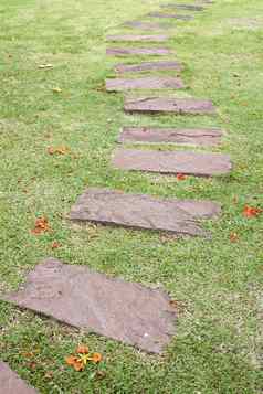 石头路径热带花园