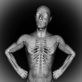 人类骨头射线照相法扫描图像