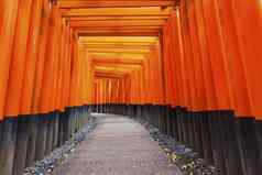 伏见inari神社《京都议定书》日本