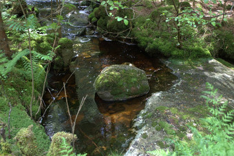 水风景