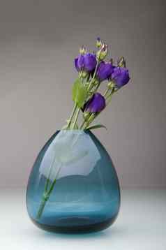 柔和的花花瓶