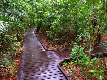 绿色岛国家公园澳大利亚