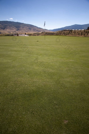 高尔夫球绿色草清晰的蓝色的天空