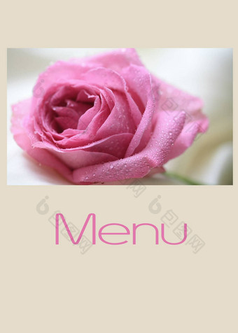 粉红色的玫瑰菜单卡