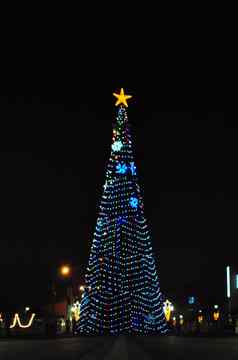 巨大的圣诞节树城市中心