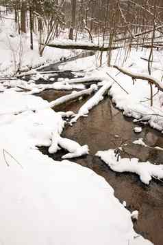 流动森林流水冬天海岸雪