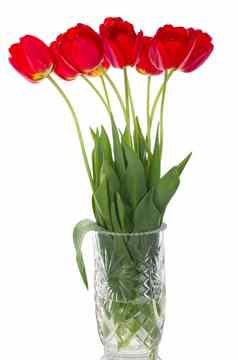 红色的郁金香花束花瓶