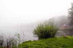 神秘的湖雾绿色沿海植物区系小小屋