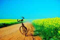 自行车旅行夏天