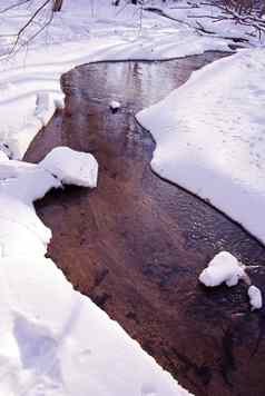 流动森林流冬天海岸雪水冻结