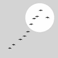 飞行鸭子轮廓太阳能背景向量插图