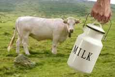 牛奶能农民手牛草地