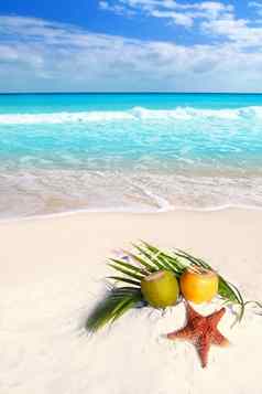 椰子鸡尾酒汁海星热带海滩