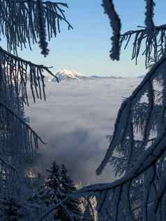冬天山景观山峰树雪覆盖移动照片