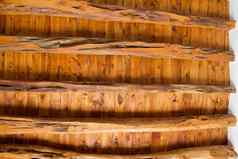 伊比沙岛木屋顶梁体系结构