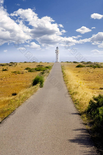 野蛮小檗属角灯塔Formentera草地