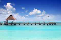 加勒比热带海滩小屋码头contoy岛