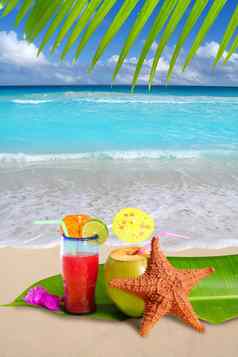 椰子红色的鸡尾酒海星热带海滩