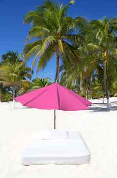 阳伞海滩热带伞床垫棕榈树