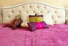 钻石室内装潢床上头粉红色的毯子