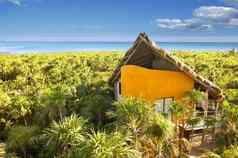 黄色的房子墨西哥热带加勒比丛林