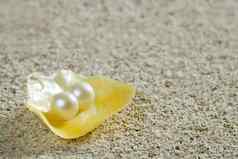 海滩沙子珍珠黄色的壳牌夏天热带