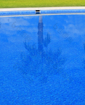蓝色的瓷砖游泳池棕榈树反射