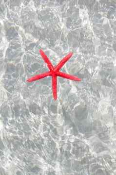 浮动红色的海星白色沙子海滩