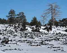 熔岩场覆盖雪冬天埃特纳火山火山西西里