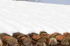 岁的粘土屋顶瓷砖下了雪冬天雪