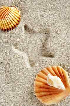 海滩沙子夏天蛤壳牌明星打印假期