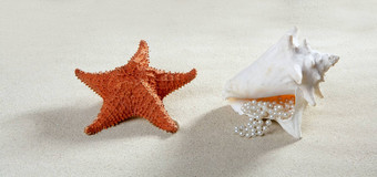 海滩沙子珍珠项链壳牌海星夏天