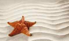海滩白色波浪沙子海星夏天假期