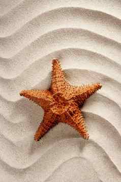 海滩白色波浪沙子海星夏天假期