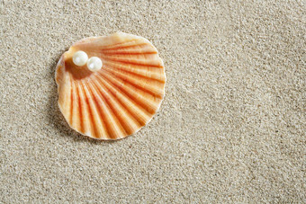 海滩白色沙子珍珠壳牌蛤宏