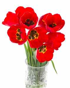 红色的郁金香花束花瓶