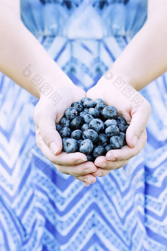 女人手提供蓝莓