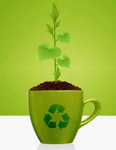 年轻的植物日益增长的绿色杯子