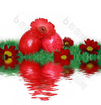 红色的复活节鸡蛋红色的花