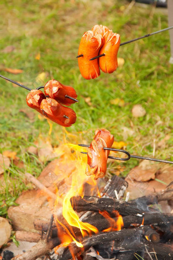 波西米亚香肠煮熟的篝火