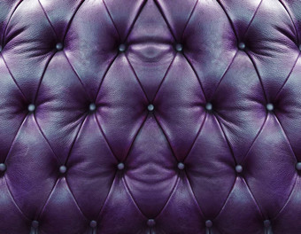 黑暗紫罗兰色的室内装潢皮革