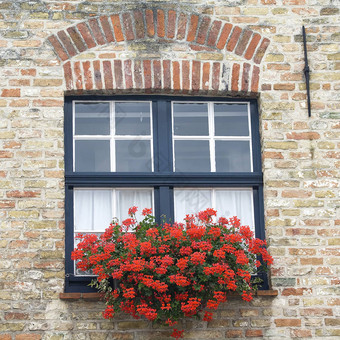 建筑红色的花窗户